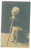 2404 - Prince NICOLAE, Regale, Romania - old postcard, real PHOTO - unused, Necirculata, Fotografie