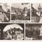 RF65 -Carte Postala- Sighisoara, circulata 1967