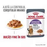 Royal Canin Appetite Control, hrana umeda pisica sterilizata, reglarea