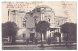 108 - SATU MARE, Maramures, Romania - old postcard - used - 1906, Circulata, Printata