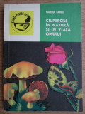Valeria Barbu - Ciupercile in natura si in viata omului