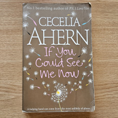 Cecelia Ahern If you could see me now