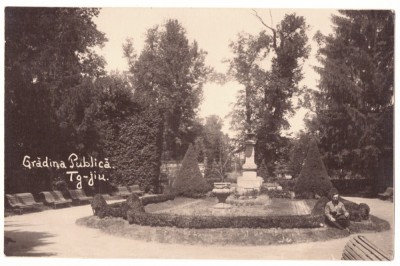 5196 - TARGU-JIU, Public Garden, Romania - old postcard, real PHOTO - unused foto