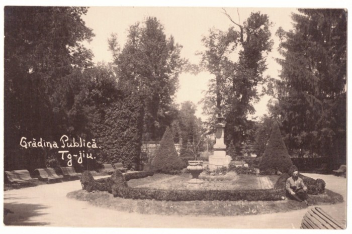 5196 - TARGU-JIU, Public Garden, Romania - old postcard, real PHOTO - unused