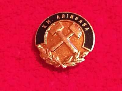Insigna minerit - E.M. ANINOASA foto