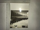 VASILE SENCU, FOTOGRAFIE ORIGIALA- MUNTII SUREANU, LACUL SUREANU *** 1965