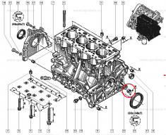 Capac chiuloasa 18X8mm Renault Laguna, dop gheata original Renault 7703075018 foto