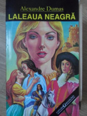 LALEAUA NEAGRA-ALEXANDRE DUMAS foto