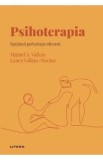 Descopera psihologia. Psihoterapia. Sprijinul psihologic eficient - Miguel A. Vallejo, Laura Vallejo-Slocker