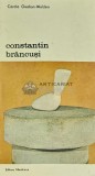 Constantin Brancusi - Carola Giedion Welcker - Meridiane 1981 - Album Arta, 180 pagini, Coperta Brosata