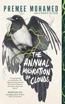 The Annual Migration of Clouds foto