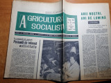 Agricultura Socialista - 9 Ianuarie 1969 - Navodari, Agigea, Sacele - Ziar Vechi Original