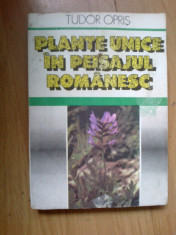 k4 Plante unice in peisajul romanesc - Tudor Opris foto