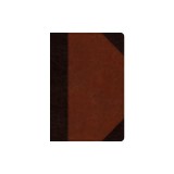 ESV Student Study Bible (Trutone, Brown/Cordovan, Portfolio Design)
