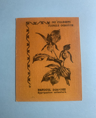 Calendar 1969 flori Papucul Doamnei foto