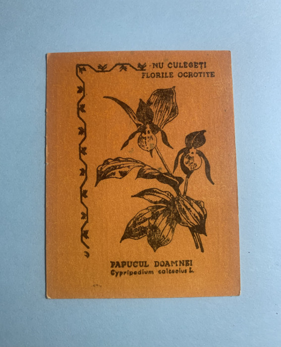 Calendar 1969 flori Papucul Doamnei