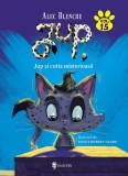 Jup, un pisoi de soi (vol. 15): Jup si cutia misterioasa - Univers