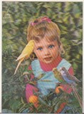 bnk cp Carte postala 3D - Felicitare - Japonia Wonder Co SSP-126