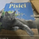 Pisici, ghid complet