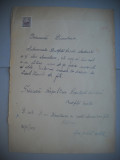 HOPCT DOCUMENT VECHI NR 442 BROTFELD ROSCLA-EVREU-SCOALA NR 3 FETE BOTOSANI 1949, Romania 1900 - 1950, Documente