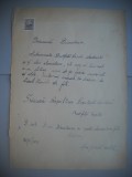 HOPCT DOCUMENT VECHI NR 442 BROTFELD ROSCLA-EVREU-SCOALA NR 3 FETE BOTOSANI 1949, Romania 1900 - 1950, Documente