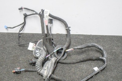 Cablaj ușă st&amp;acirc;nga spate TESLA MODEL 3 2018 OEM: 2067965-00-A 11204055 foto