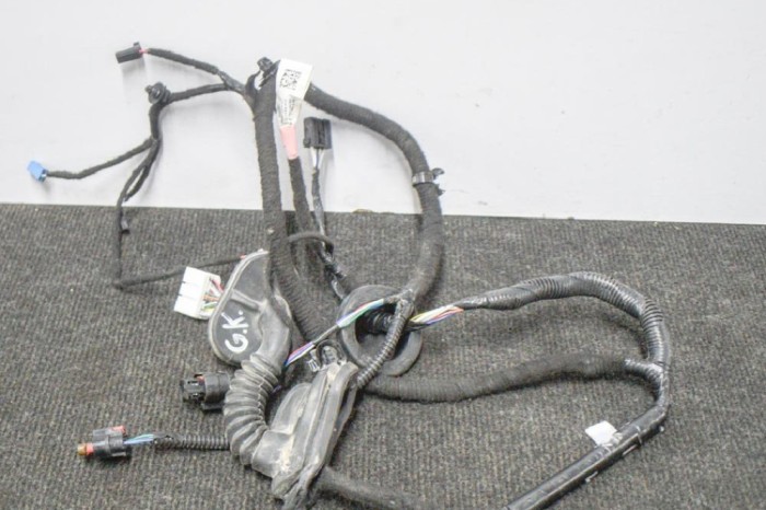 Cablaj ușă st&acirc;nga spate TESLA MODEL 3 2018 OEM: 2067965-00-A 11204055