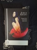 Jorge Amado - Dona Flor si cei doi soti ai ei