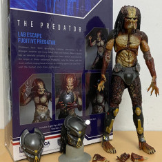 Figurina Lab Escape Fugitive Predator 20 cm