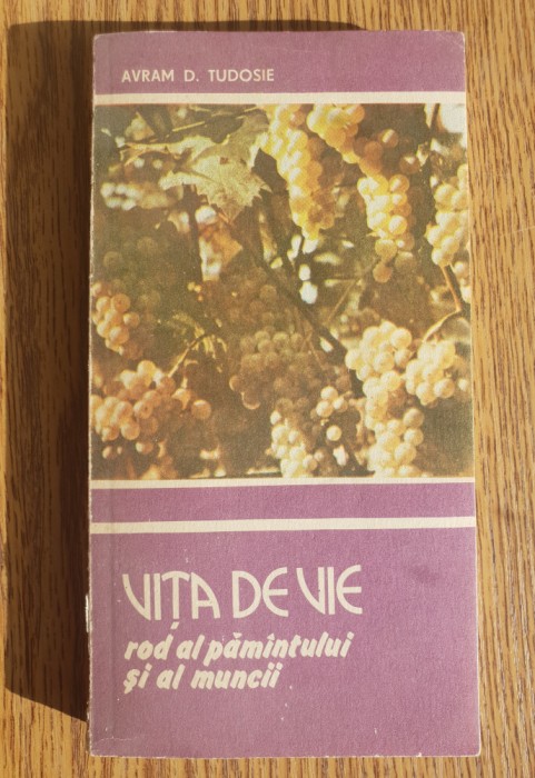 Vița de vie rod al păm&acirc;ntului și al muncii