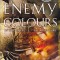 Sean Thomas Russel - Under Enemy Colours