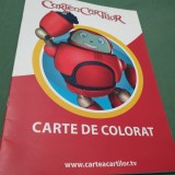CARTEA CARTILOR -CARTE DE COLORAT /FORMAT MARE