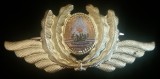QW14 - Emblema militara / cuc - comunism - aviatie - varianta mica