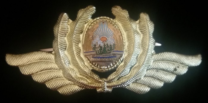QW14 - Emblema militara / cuc - comunism - aviatie - varianta mica