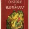 O Istorie a Blestemului, Dan Horia Mazilu, 2001