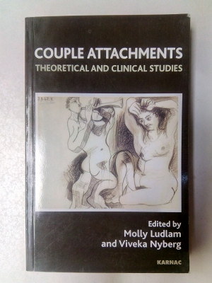 Couple attachments theoretical and clinical studies - M. LUDLAM si V. NYBERG foto