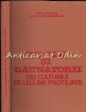 Cumpara ieftin Bolile Si Daunatorii Din Culturile De Legume Protejate - Raicu Cristina