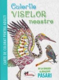 Culorile viselor noastre - Pasari |