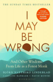 I May be Wrong - Bj&ouml;rn Natthiko Lindeblad