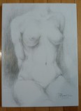 Grafica in varf de aur - Tors de femeie sezand, made by RavariuArt, Original, Nud, Grisaille, Realism