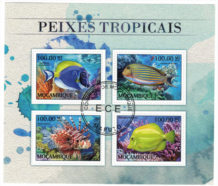 MOZAMBIC 2016 - Pesti tropicali / set complet - colita + bloc