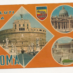 IT3-Carte Postala-ITALIA - Saluti da Roma, necirculata