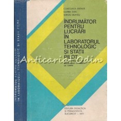 Indrumator Pentru Lucrari In Laboratorul Tehnologic Si Statii Pilot - Brener