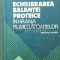 Echilibrarea balantei proteice in hrana rumegatoarelor - 1982 - Niculina Visinescu ($Q39)