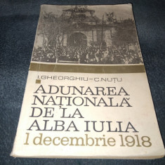I GHEORGHIU - ADUNAREA NATIONALA DE LA ALBA IULIA 1 DECEMBRIE 1918