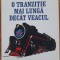 O tranziție mai lungă dec&acirc;t veacul, Vladimir Tismăneanu, Mircea Mihăieș