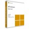 Windows Server 2025 RDS 50 Dispozitive