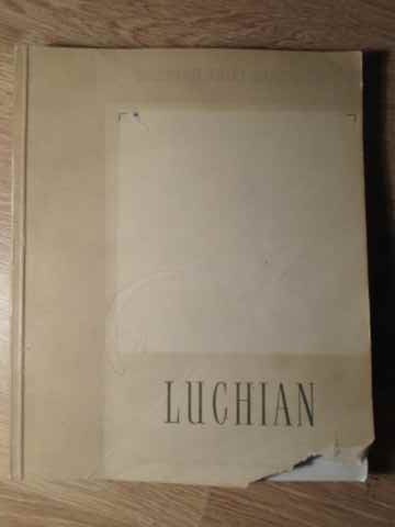 LUCHIAN-PETRU COMARNESCU-217413