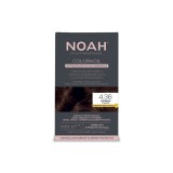 Vopsea de par permanenta fara amoniac, pe baza de ulei, 4.36 Castaniu (Chestnut), Noah Color in Oil, 135 ml