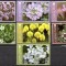 GIBRALTAR 2014, Flora, serie neuzata, MNH